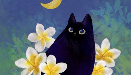 風水的植物エネルギーの使い方