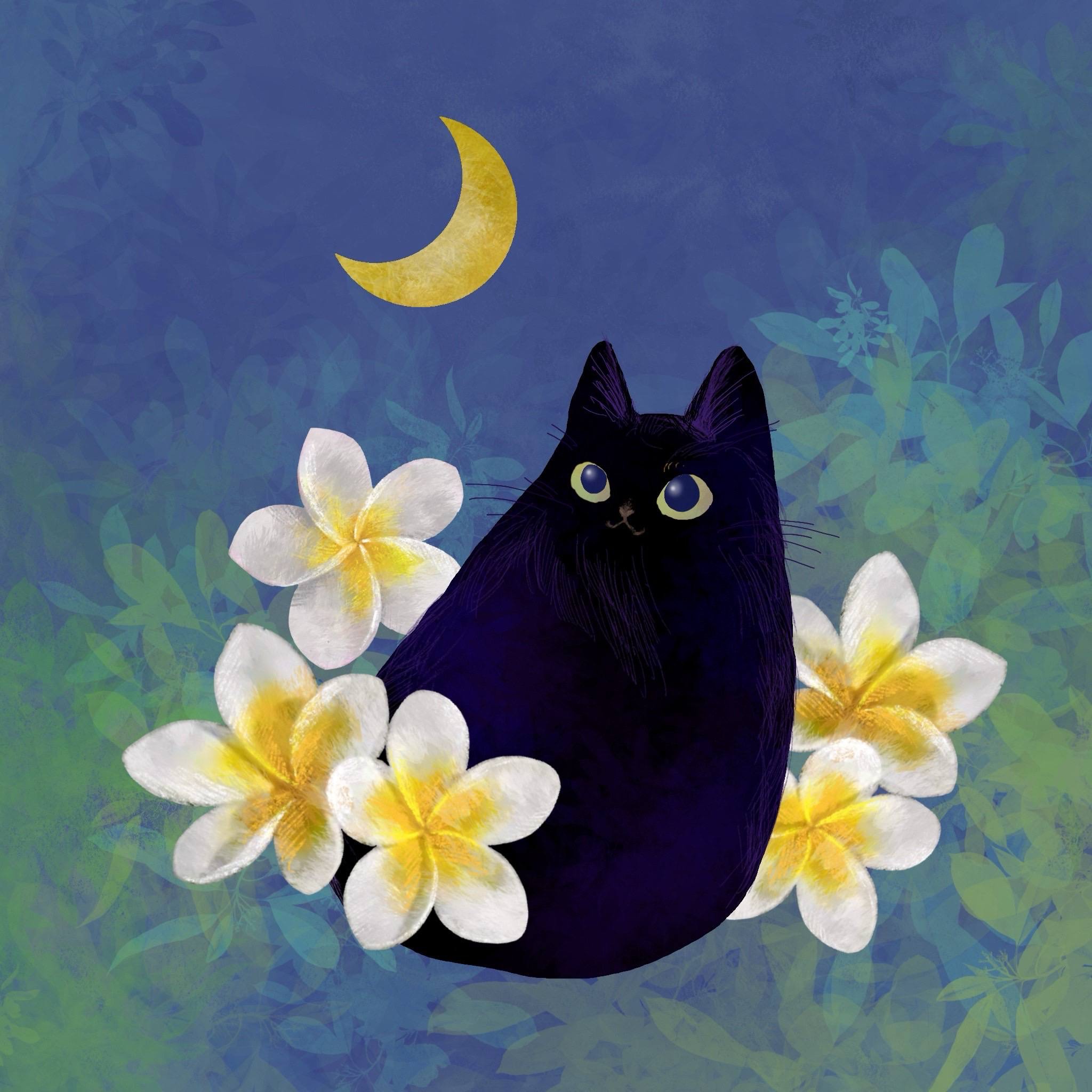 Spiritual Healing LUMINA LUNA